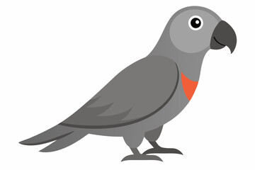 African grey parrot vector art illustration