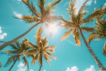 A group of palm trees on a sunny day