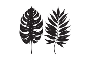 tropical two separated black leaf silhouette 43.eps