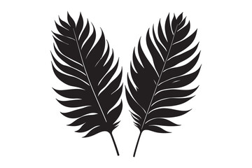 Fototapeta premium tropical two separated black leaf silhouette 57.eps