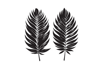 Obraz premium tropical two separated black leaf silhouette 59.eps