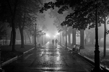 Evening view of the alley in the old park in foggy weather. Black and white photo