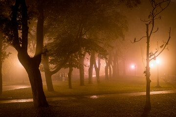 Evening view of the alley in the old park in foggy weather