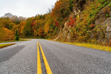Naklejka premium Scenic autumn road with vibrant foliage.
