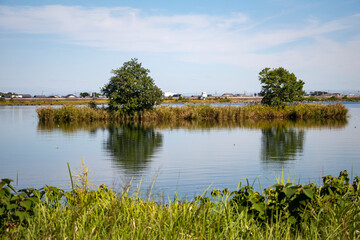 河の真ん中にある島
