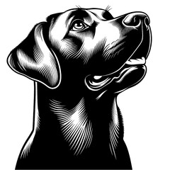 Hand drawn cute Labrador Retriever portrait, vector sketch isolated on white background, SVG vector