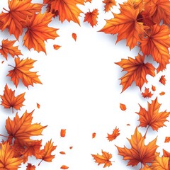 Autumn leaves in clean arrangement on white background