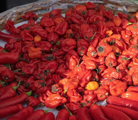 Pile of red spicy chili peppers at fresh market
