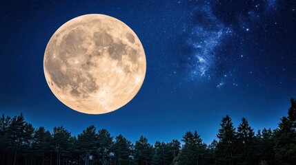 Fototapeta premium Majestic full moon pine at night