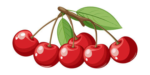cherries on a branch, cherries on white background, vector art of charry.