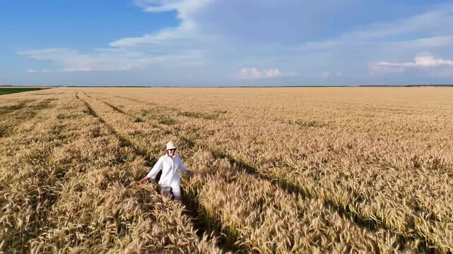 Girl in white dress walks and runs in field and wheat or cereal fields.