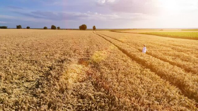 Girl in white dress walks and runs in field and wheat or cereal fields.
