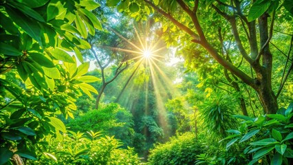 Obraz premium Lush greenery and sunlight filtering through leaves