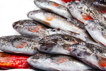 Fresh fish displayed on ice in a market. Glistening Seafood on Ice