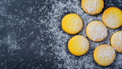Delicious Round Sponge Cookies Sprinkled With Coconut on a Dark Surface