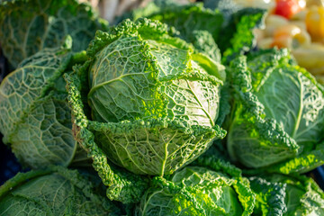 Local farmer’s market with October seasonal fruits and vegetables in Croatia. Savoy cabbage on a table