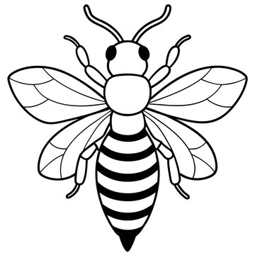 recommend clip art: bee line art vector black color silhouette vector art illustration