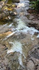 A small mountain river with a flow of water in the Polish mountains. Eastern Sudetes
