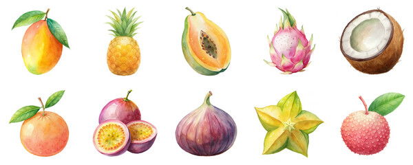 Tropical fruits including mango, pineapple, coconut and papaya in vibrant watercolor illustration set. Collection of organic healthy food displayed isolated on transparent background. © Pixel Pine
