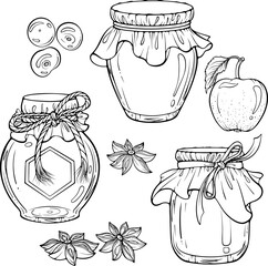 Set of jars with homemade fruit jam, honey or marmalade. Natural preservation berry dessert. Vector illustration in hand drawn sketch doodle style. Line art isolated on white for coloring book, print