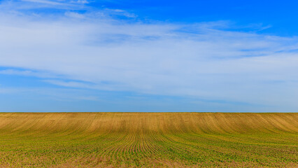 field and sky