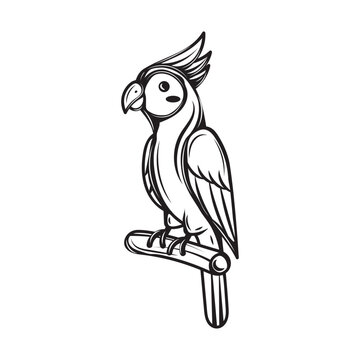 recommend clip art: Hand Drawn Line Art Parrot Illustration - 07