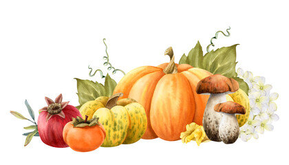 Fall vegetables, fruits and edible mushrooms with white flowers and leaves watercolor isolated illustration. Forest boletus and chanterelles, pumpkins, pomegranate and persimmon harvest. Autumn sketch