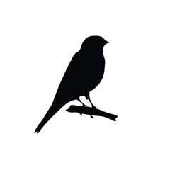 Obraz premium Bird silhouette vector illustration for Logo and T-shirt design, on white background