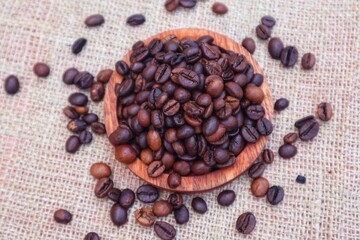 Robusta coffee beans or Coffea canephora in a wooden bowl and some scattered around it, close up view.