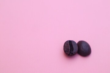 Two Robusta coffee beans or Coffea canephora. Close-up view, isolated on pink background.
