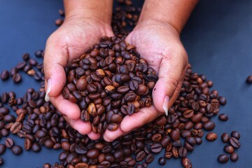 A man's hand is lifting Robusta coffee beans or Coffea canephora in a pile of coffee beans, close up view. With a dark background.
