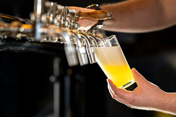 Bartender pouring beer from tap in pub