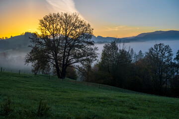 wafts of fog in the mountains of Austria