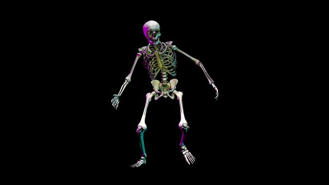 run skeleton vector