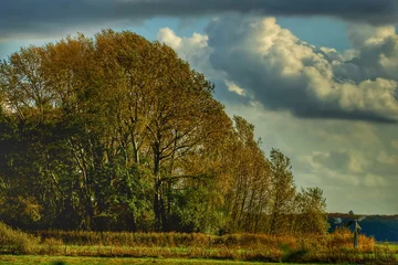 Gardinen landscape with a tree © Jos