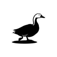 Creative Duck silhouette vector Style with white background