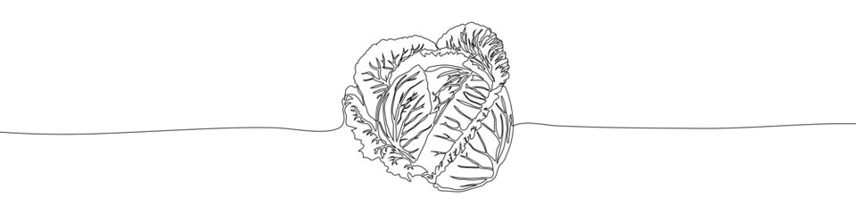 Fototapeta premium Cabbage continuous one line drawing vector illustration. Summer organic natural vegetable sign vector illustration