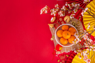 Naklejka premium Chinese New Year background