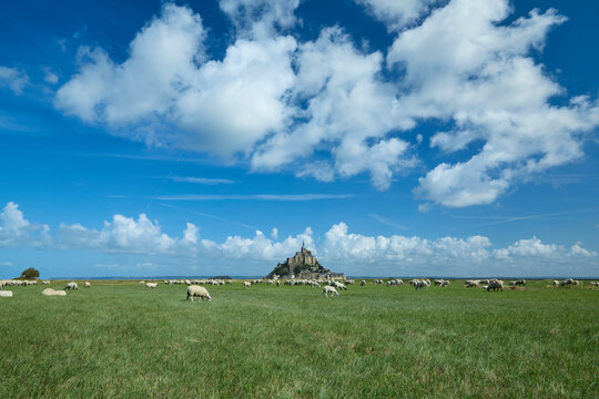 Le Mont Saint-Michel island with sheep and clouds, Normandy, France.