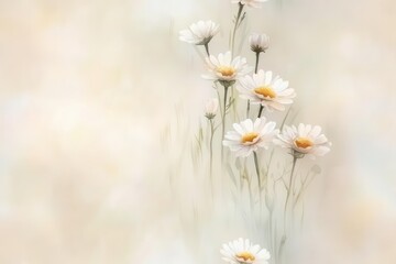 Delicate white daisies blooming softly in a blurred pastel background.