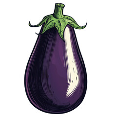 Rich purple eggplant, white isolate background , transparent, Clipart