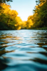 Fototapeta premium Serene River Under Golden Trees