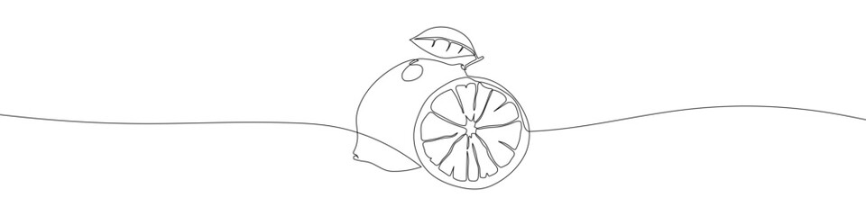 Lemon continuous line drawing vector illustration. A half of lemon line art illustration