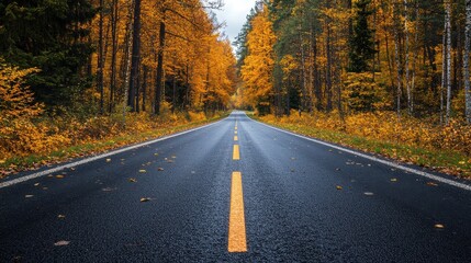 Fototapeta premium Scenic country road bordered by vibrant autumn trees on a sunny day, showcasing the beauty of fall foliage and an endless horizon of nature.
