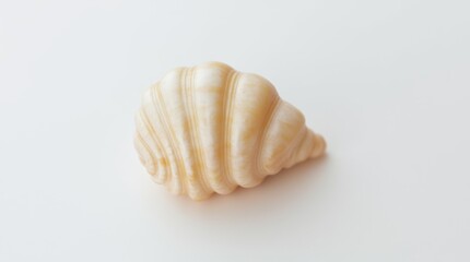 A glossy spiraled seashell with soft pearlescent hues, placed delicately on a white background.