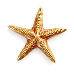 Starfish metallic 3D image of coral starfish on white background. Generative AI