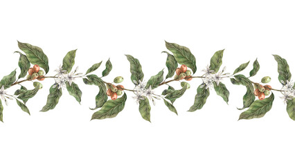 Coffee plant with green leaves and red coffee fruits. Ripe coffee berries with white flowers. Watercolor seamless border, template design for shop, cafe, banner, postcard, coffee packaging design