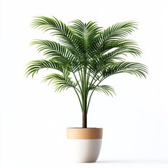 Obraz premium Lush green palm plant in a modern pot, enhancing any indoor space.