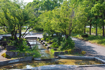 Fototapeta premium 名古屋市の港北公園の風景