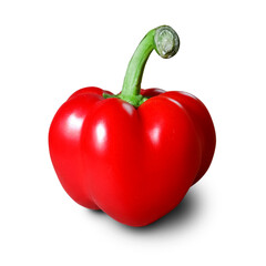 Single Red Bell Pepper